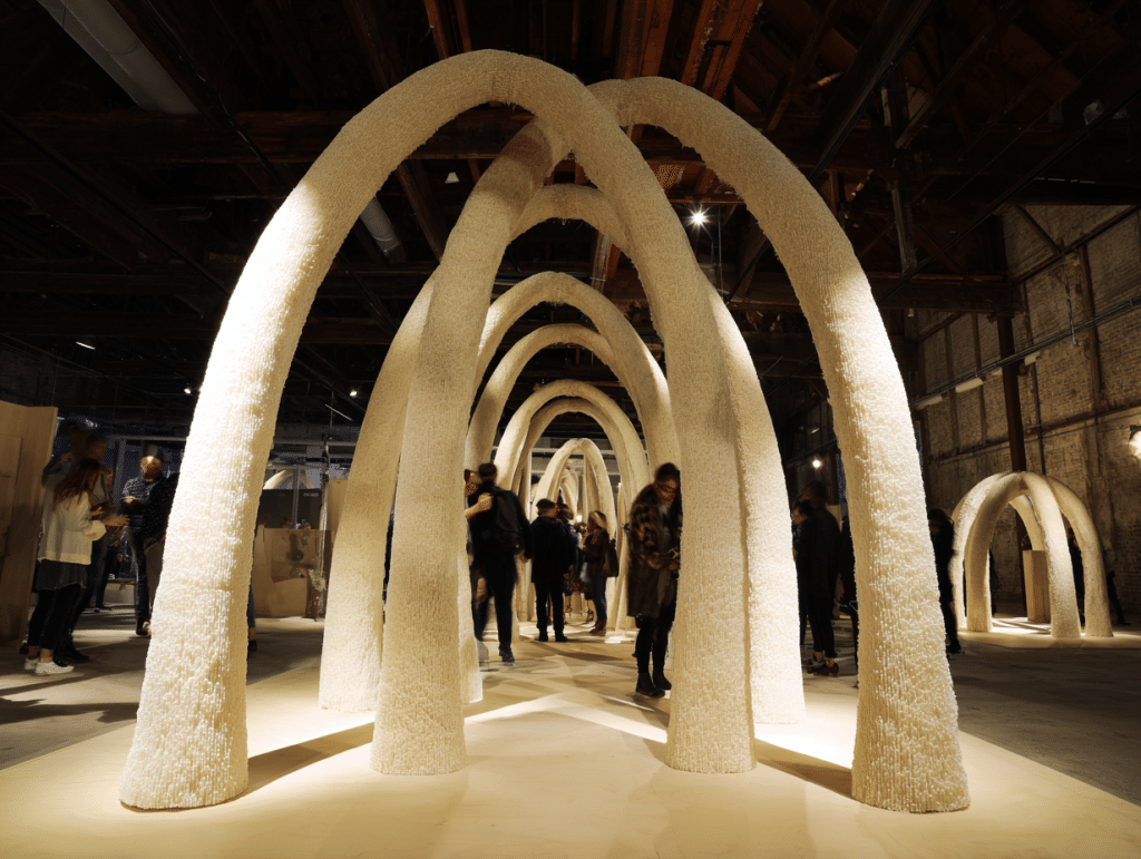 Fungi and Mycelium Walls