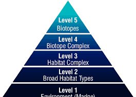 EUNIS Habitat Classification (2004)